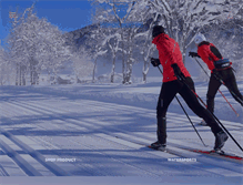 Tablet Screenshot of nordicskaters.com